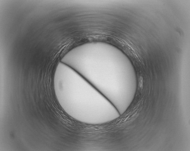 X0000116300915200911301011