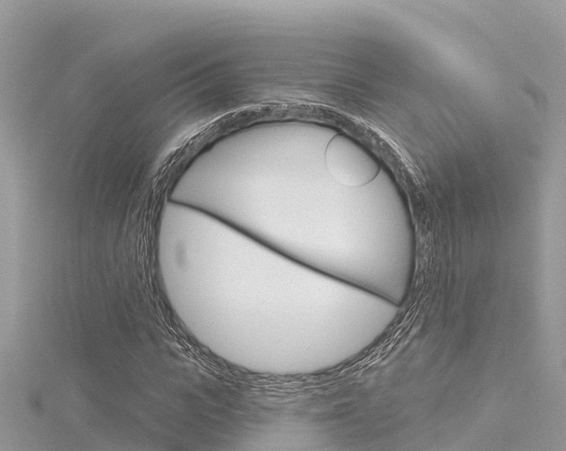 X0000116300919200911301011