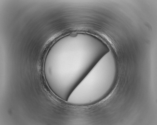 X0000116300922200911301011