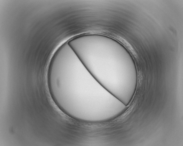 X0000116300939200911301011