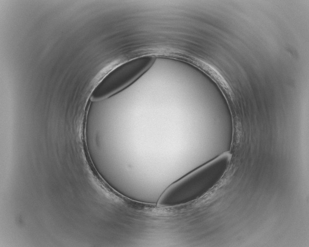 X0000116300946200911301011