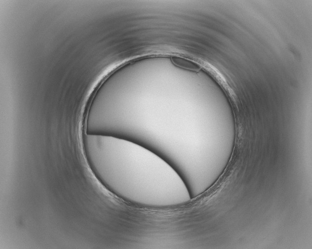 X0000116300947200911301011