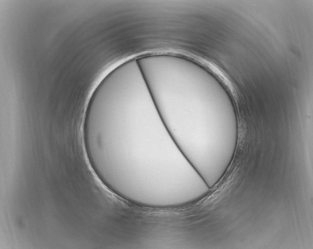 X0000116300951200911301011