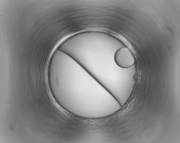 X0000116300955200911301011