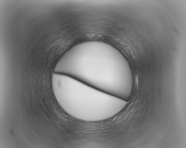 X0000116300963200911301010