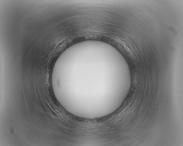 X0000116300964200911301010