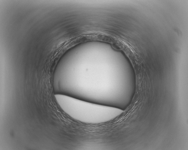 X0000116300965200911301010