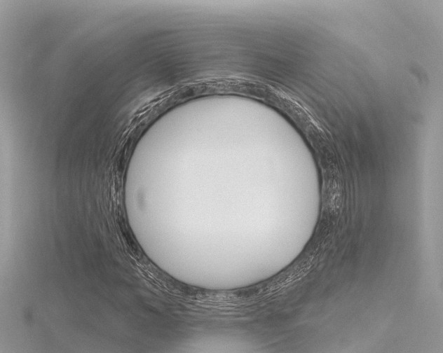 X0000116300966200911301010