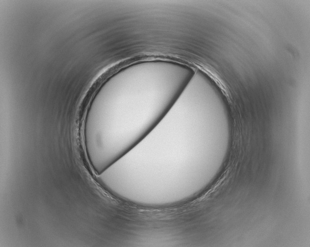 X0000116300976200911301010