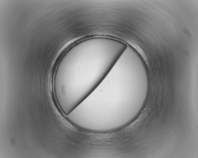 X0000116300984200911301010