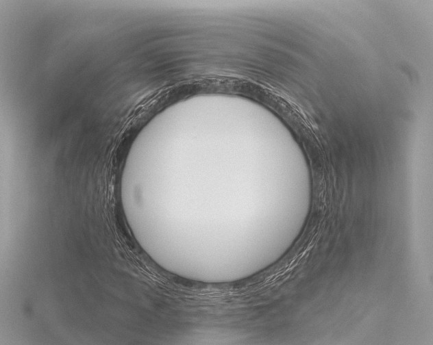 X0000116301013200911301009