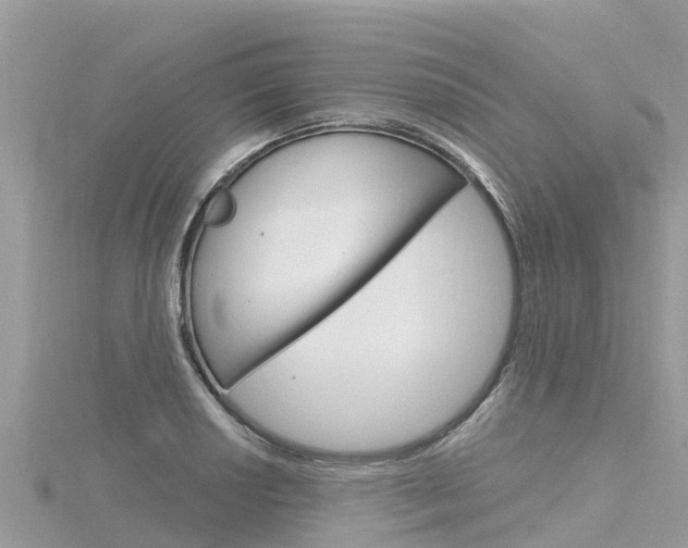 X0000116301034200911301010