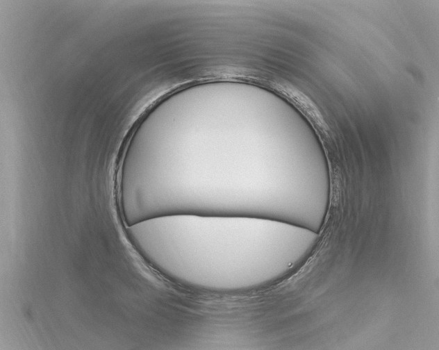X0000116301039200911301010