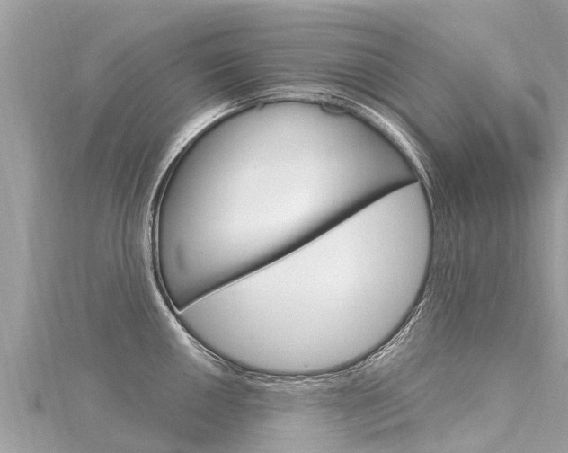 X0000116301050200911301010