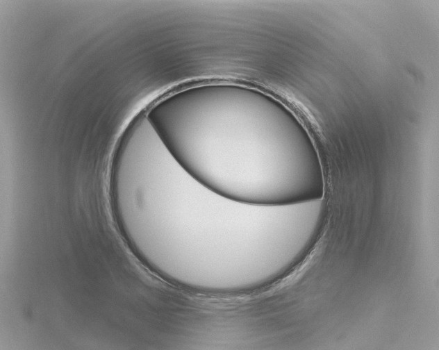 X0000116301077200911301009