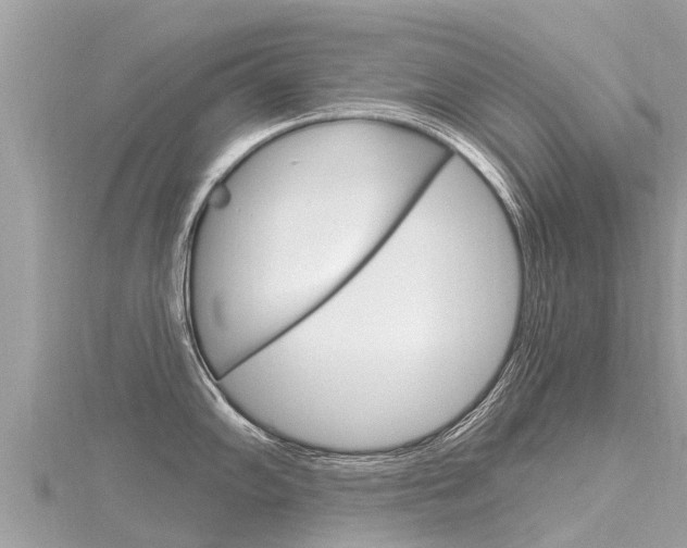 X0000116301102200911301009