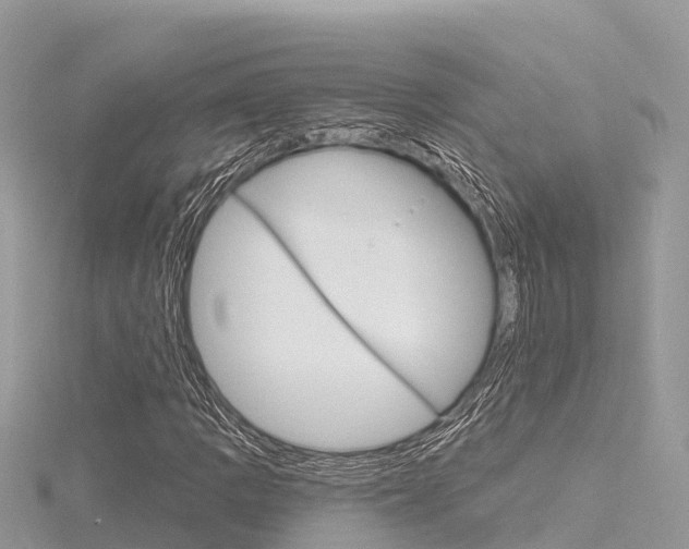 X0000116301109200911301008