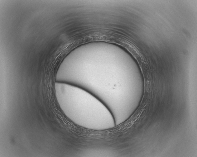 X0000116301111200911301008