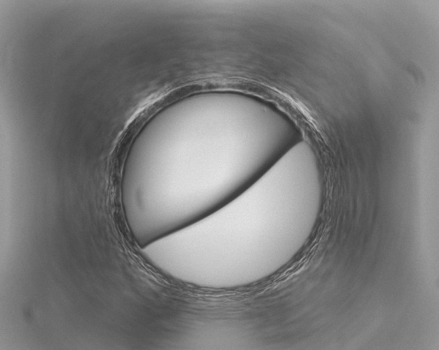 X0000116301160200911301008