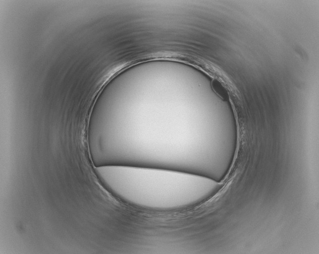 X0000116301177200911301008