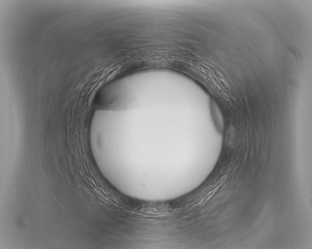 X0000116301201200911301007