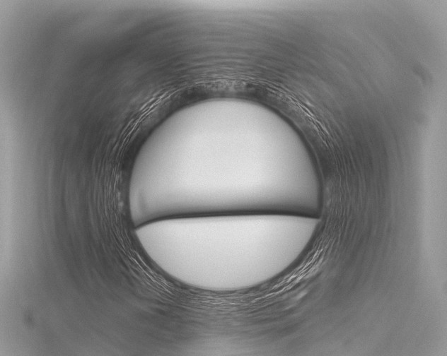 X0000116301202200911301007
