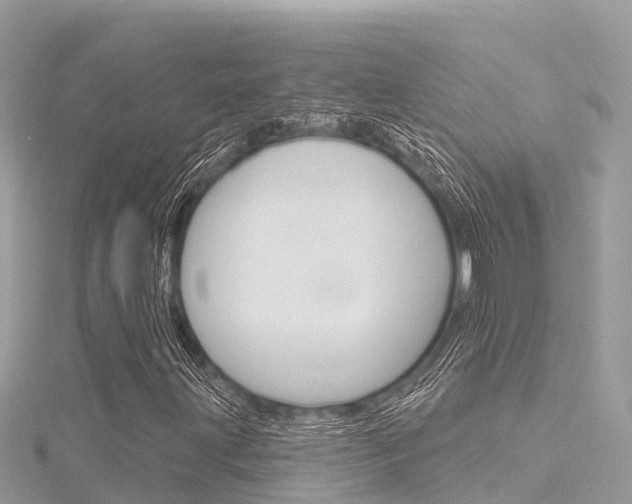 X0000116301203200911301007