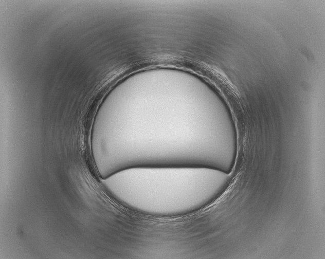 X0000116301209200911301007