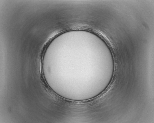 X0000116301219200911301007