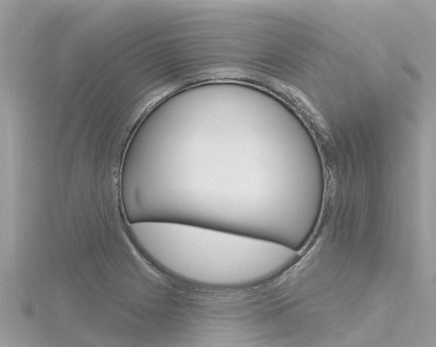 X0000116301225200911301007