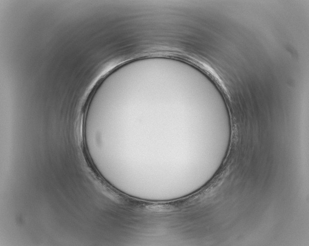 X0000116301227200911301007