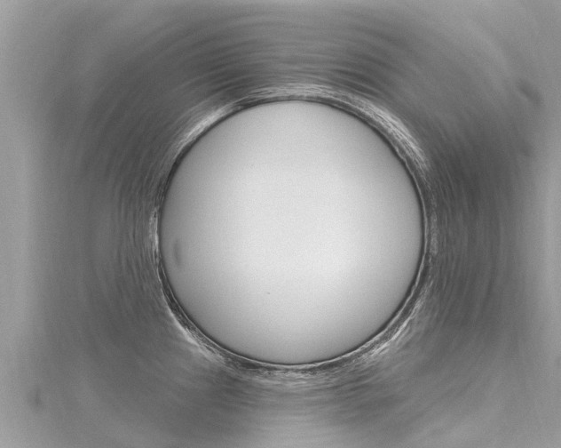 X0000116301241200911301007