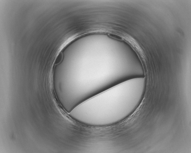 X0000116301242200911301007