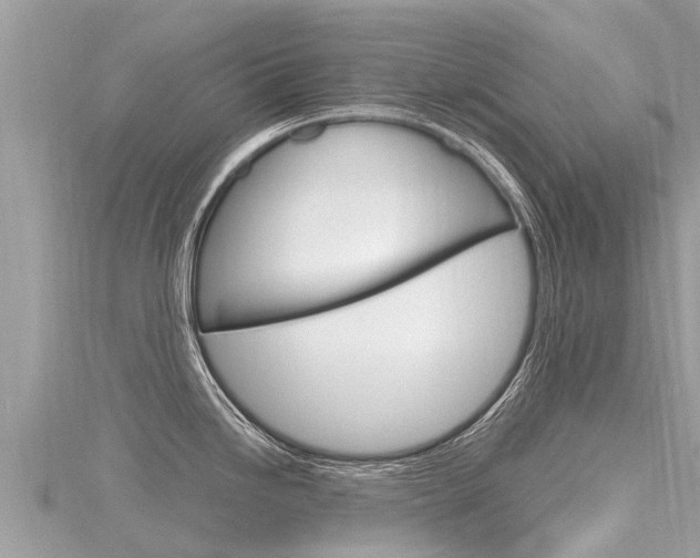 X0000116301246200911301007