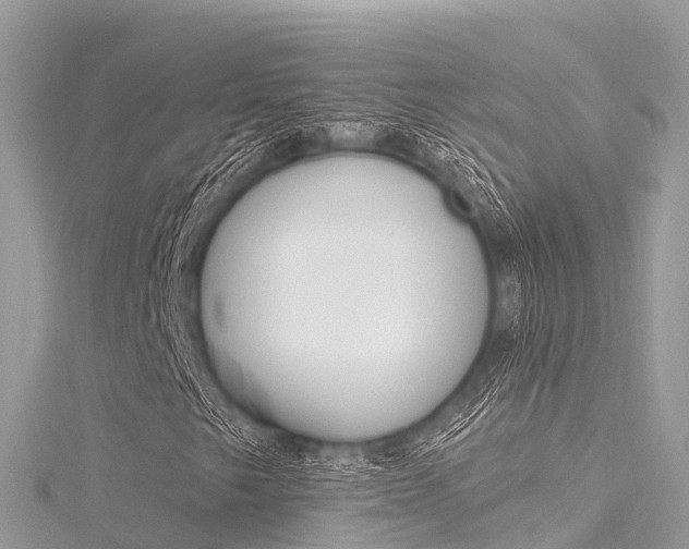 X0000116301249200911301007