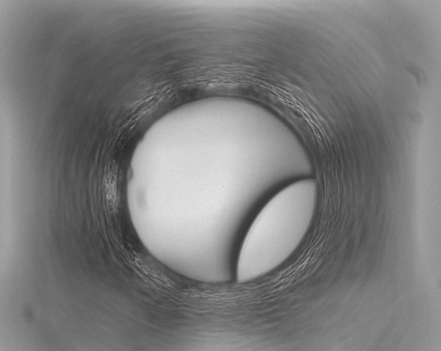 X0000116301250200911301007
