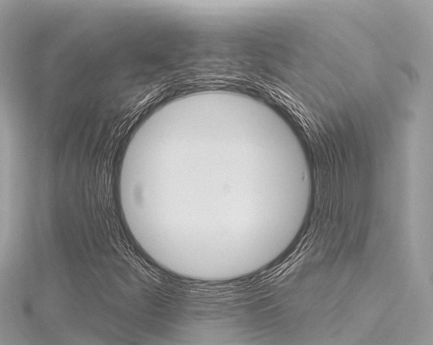 X0000116301252200911301007