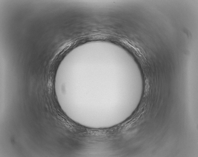 X0000116301254200911301007