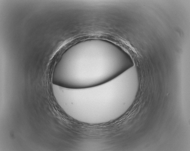 X0000116301256200911301007