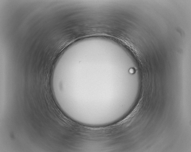 X0000116301257200911301007