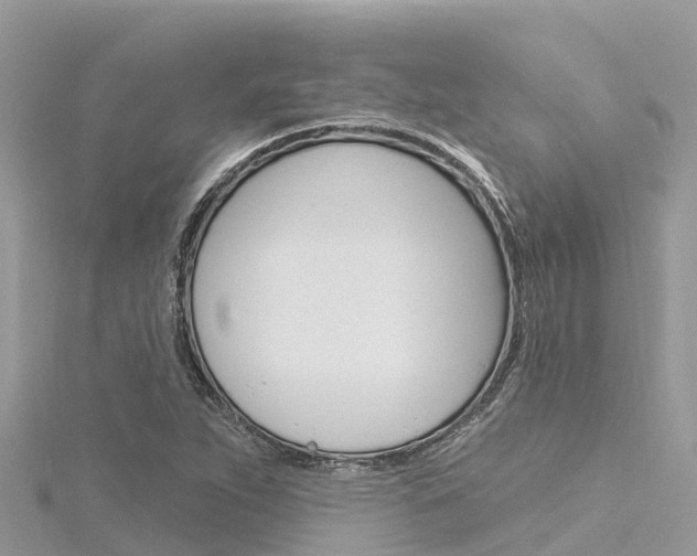 X0000116301263200911301006