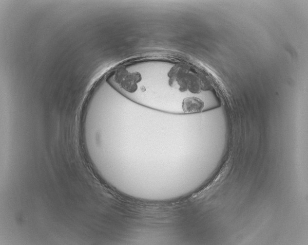 X0000116301267200911301006