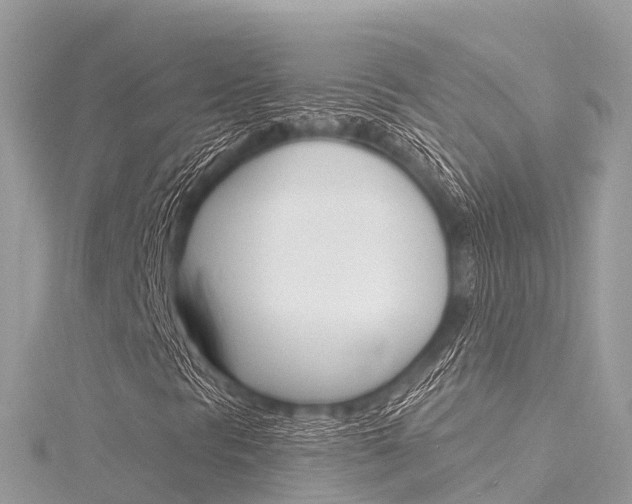 X0000116301297200911301005