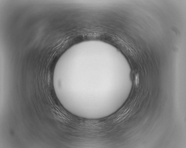 X0000116301299200911301005