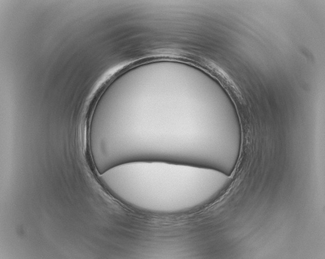 X0000116301323200911301006