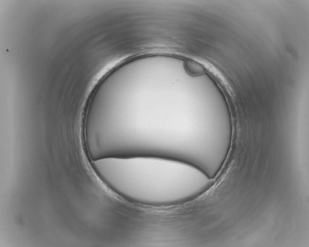 X0000116301333200911301006
