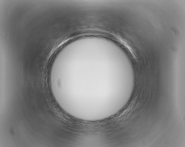 X0000116301352200911301005