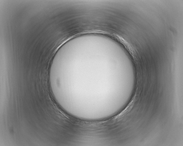 X0000116301361200911301005