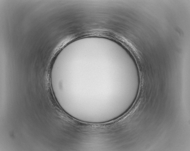 X0000116301362200911301005