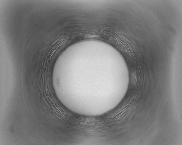 X0000116301393200911301004